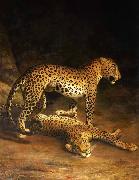 Jacques-Laurent Agasse Two Leopards Lying in the Exeter Spain oil painting artist